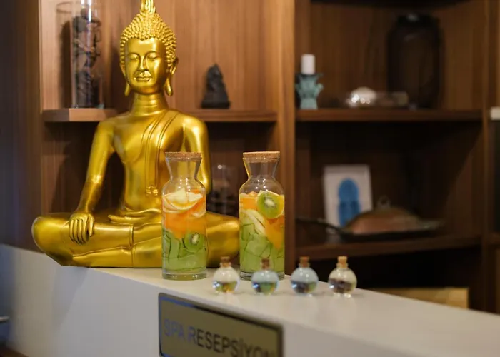 酒店 Acroter 达特恰